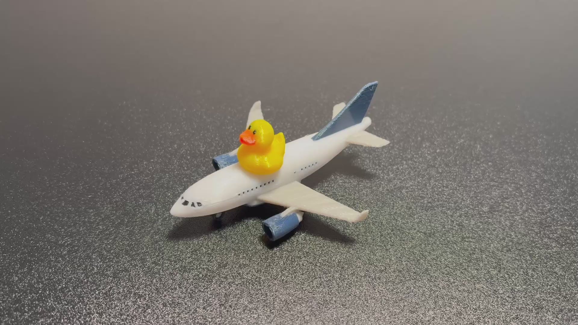 Duck on a Pax Plane